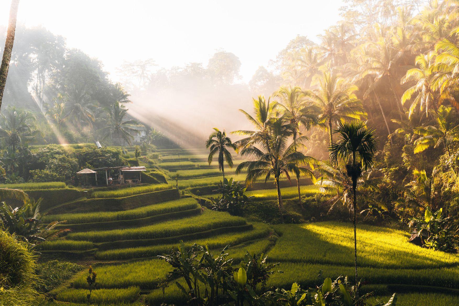 Bali Romantic Adventure – 5 Nights 6 Days (Kuta + Ubud)
