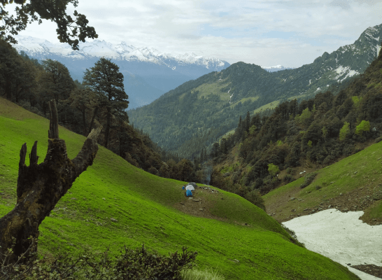 A small tent nestled in the meadow