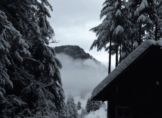 A snowy landscape with snow-covered trees